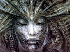 Fonds d'cran Fantasy et Science Fiction HR giger