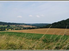 Fonds d'cran Nature Paysage du Lot-et-Garonne