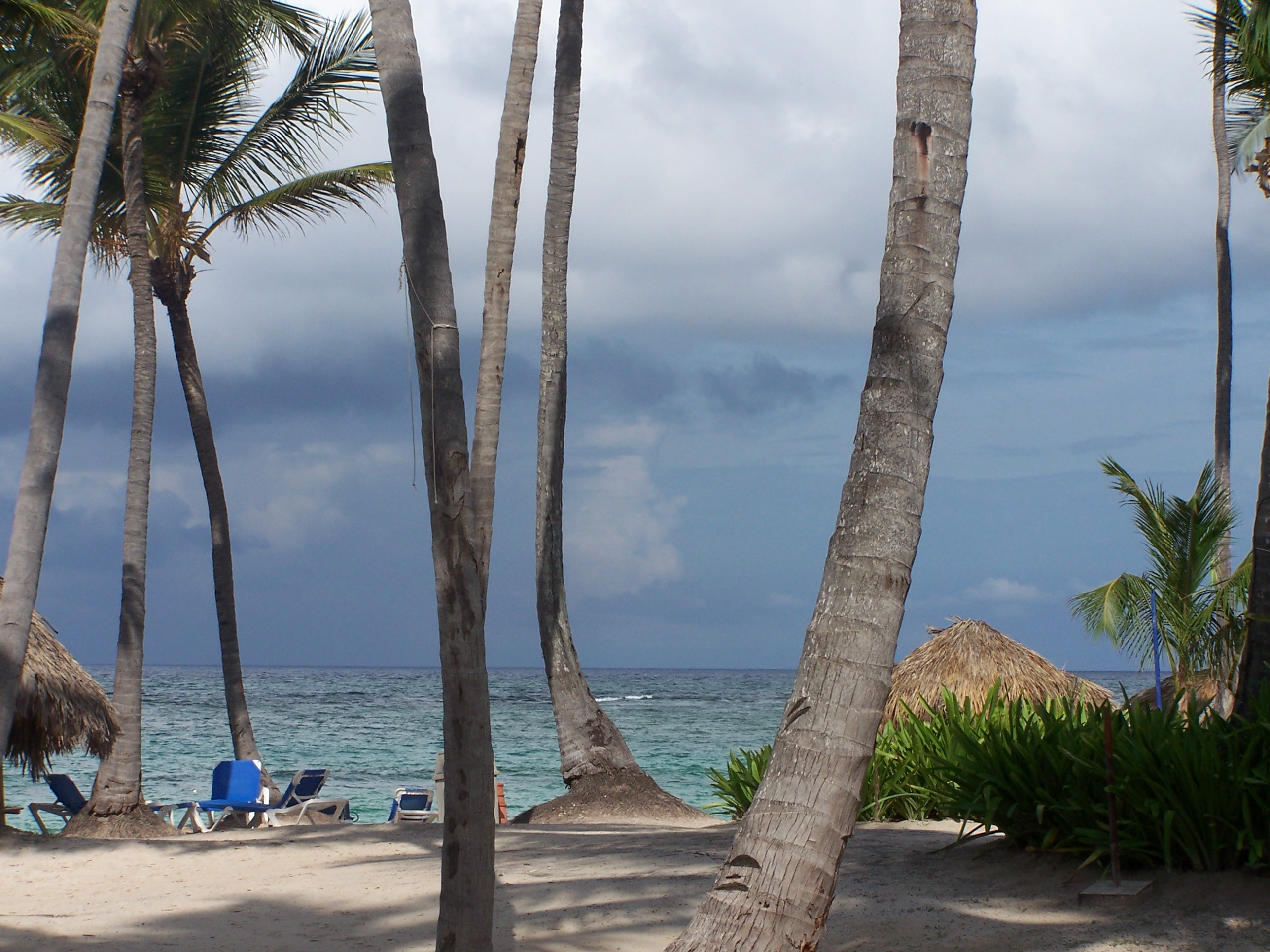 Fonds d'cran Nature Mers - Ocans - Plages Punta Cana