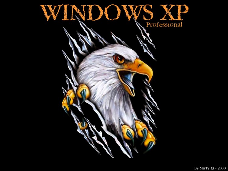 Wallpapers Computers Windows XP aigle