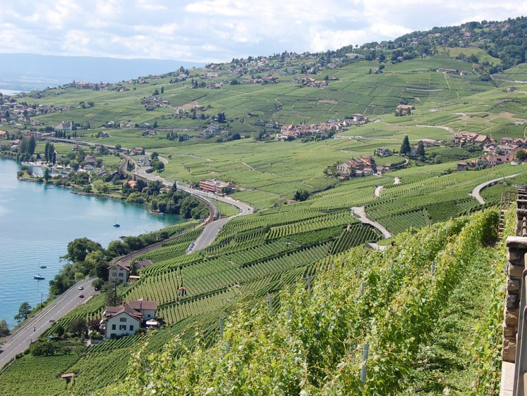 Fonds d'cran Voyages : Europe Suisse Vignoble au dessus du lac lman