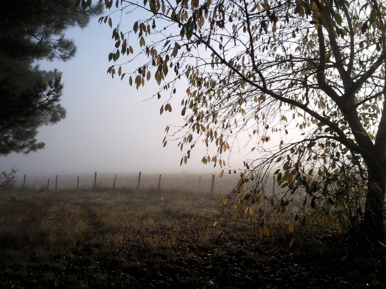 Fonds d'cran Nature Campagne Srnit.