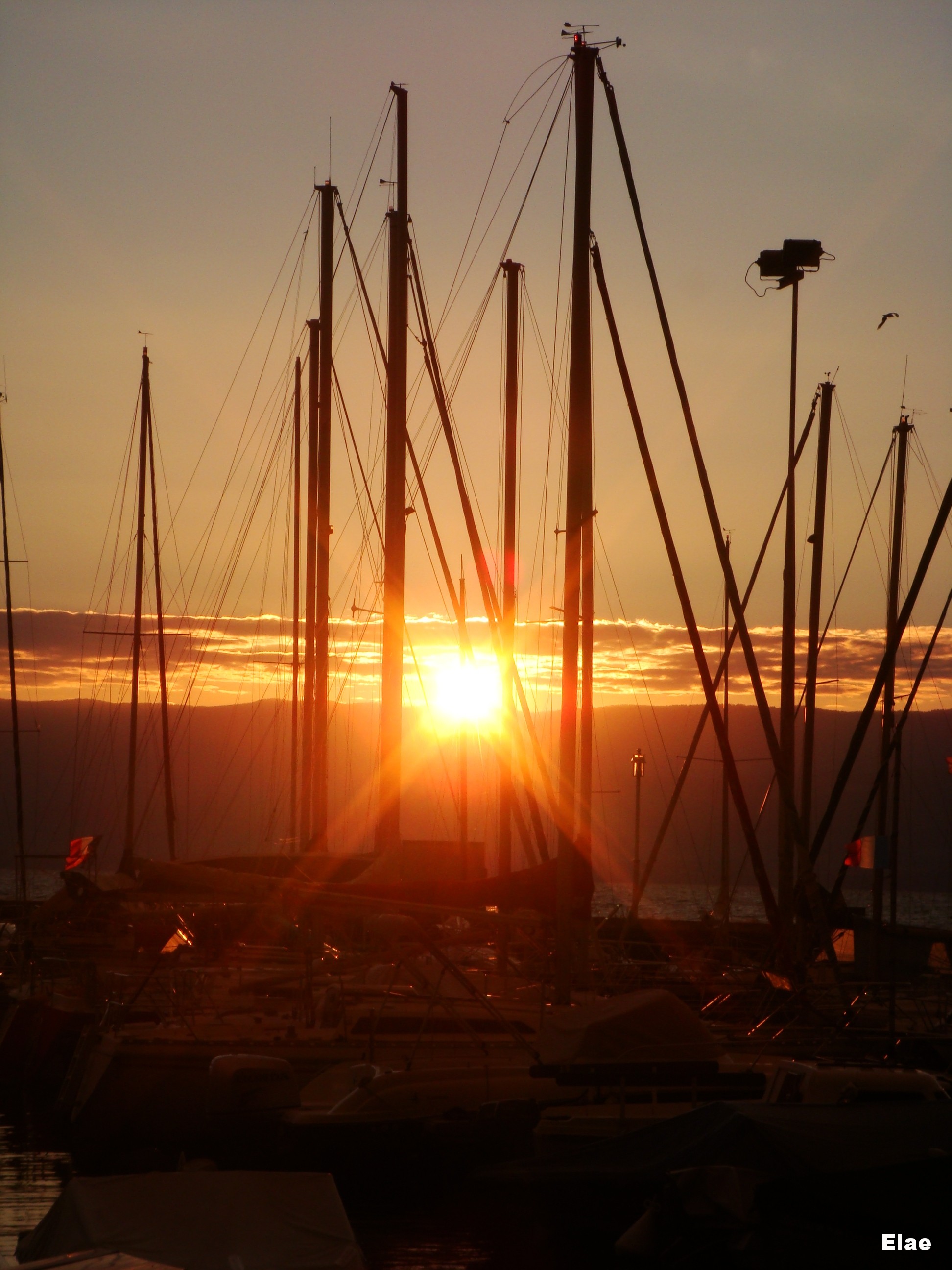 Wallpapers Boats Sailboats Lac Lmant