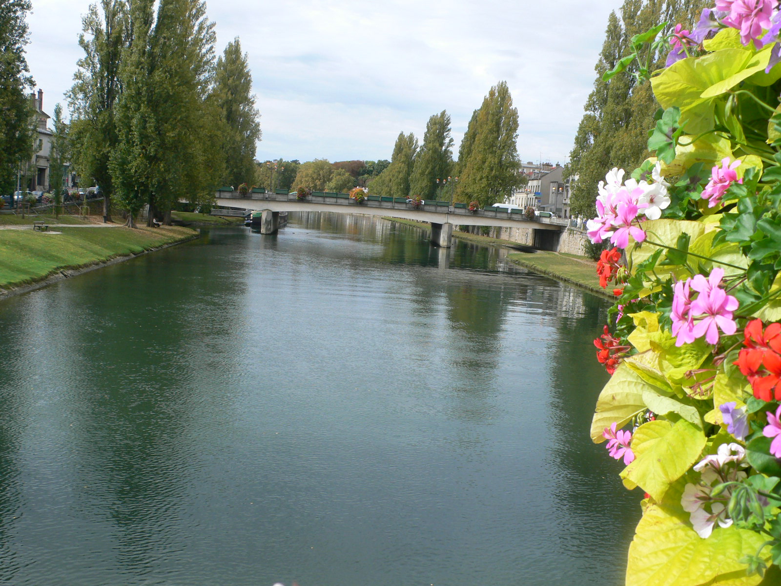 Fonds d'cran Nature Fleuves - Rivires - Torrents Scne ou Seine fleurie  Melun !