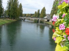 Fonds d'cran Nature Scne ou Seine fleurie  Melun !