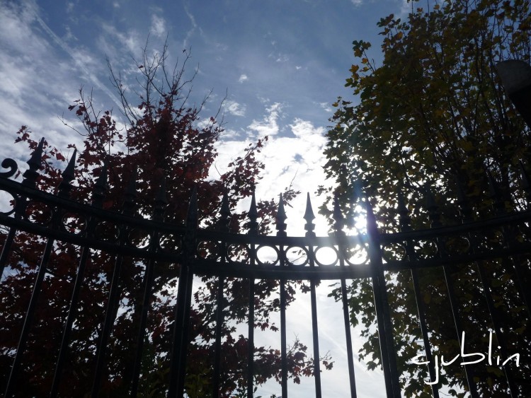 Fonds d'cran Nature Ciel - Nuages une grille dans l'azur