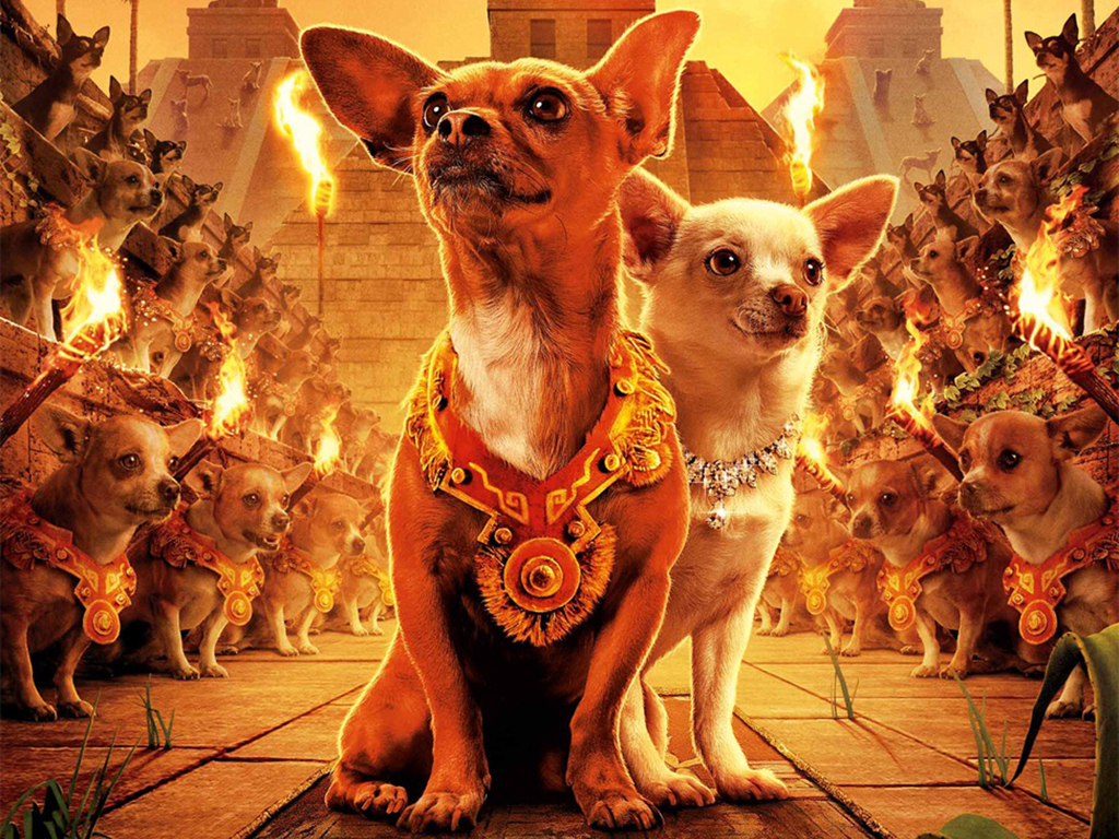 Wallpapers Movies Beverly Hills Chihuahua Le-Chihuahua-de-Beverly-Hil