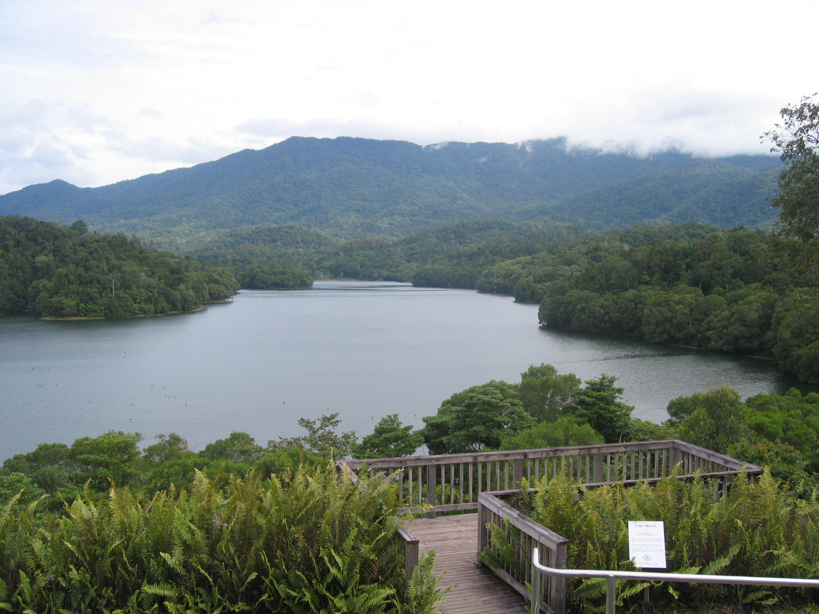 Fonds d'cran Voyages : Ocanie Australie Lac Morris, Queensland