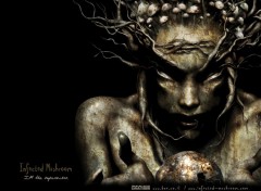 Wallpapers Music Infected Mushroom