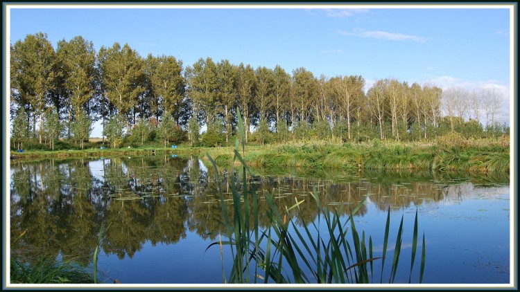 Fonds d'cran Nature Lacs - Etangs Etang de Clastres (02)