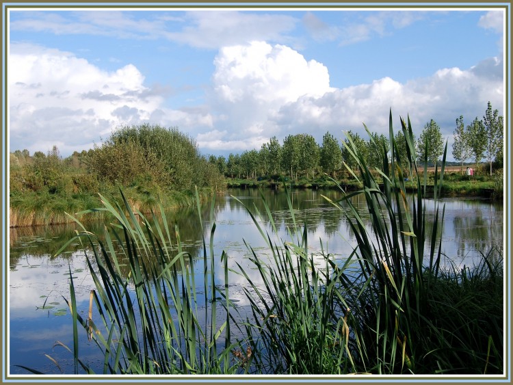 Wallpapers Nature Lakes - Ponds Etang de Clastres (02)