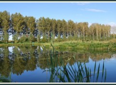 Fonds d'cran Nature Etang de Clastres (02)