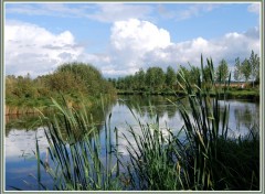 Fonds d'cran Nature Etang de Clastres (02)