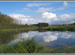 Fonds d'cran Nature Etang de Clastres (02)