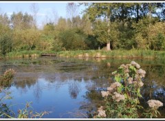 Fonds d'cran Nature Etang de Clastres (02)