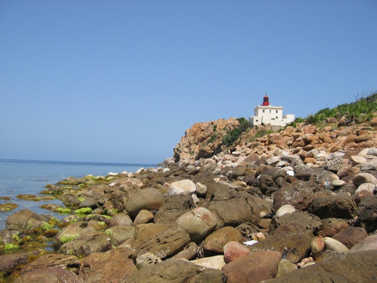 Fonds d'cran Voyages : Afrique Algrie grand phare 