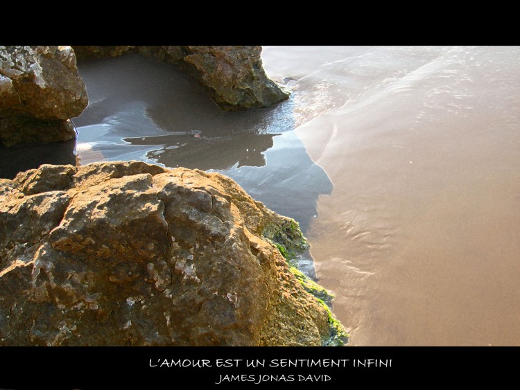 Fonds d'cran Nature Mers - Ocans - Plages Recifs