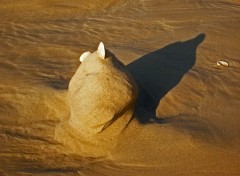 Wallpapers Nature Les sables du temps