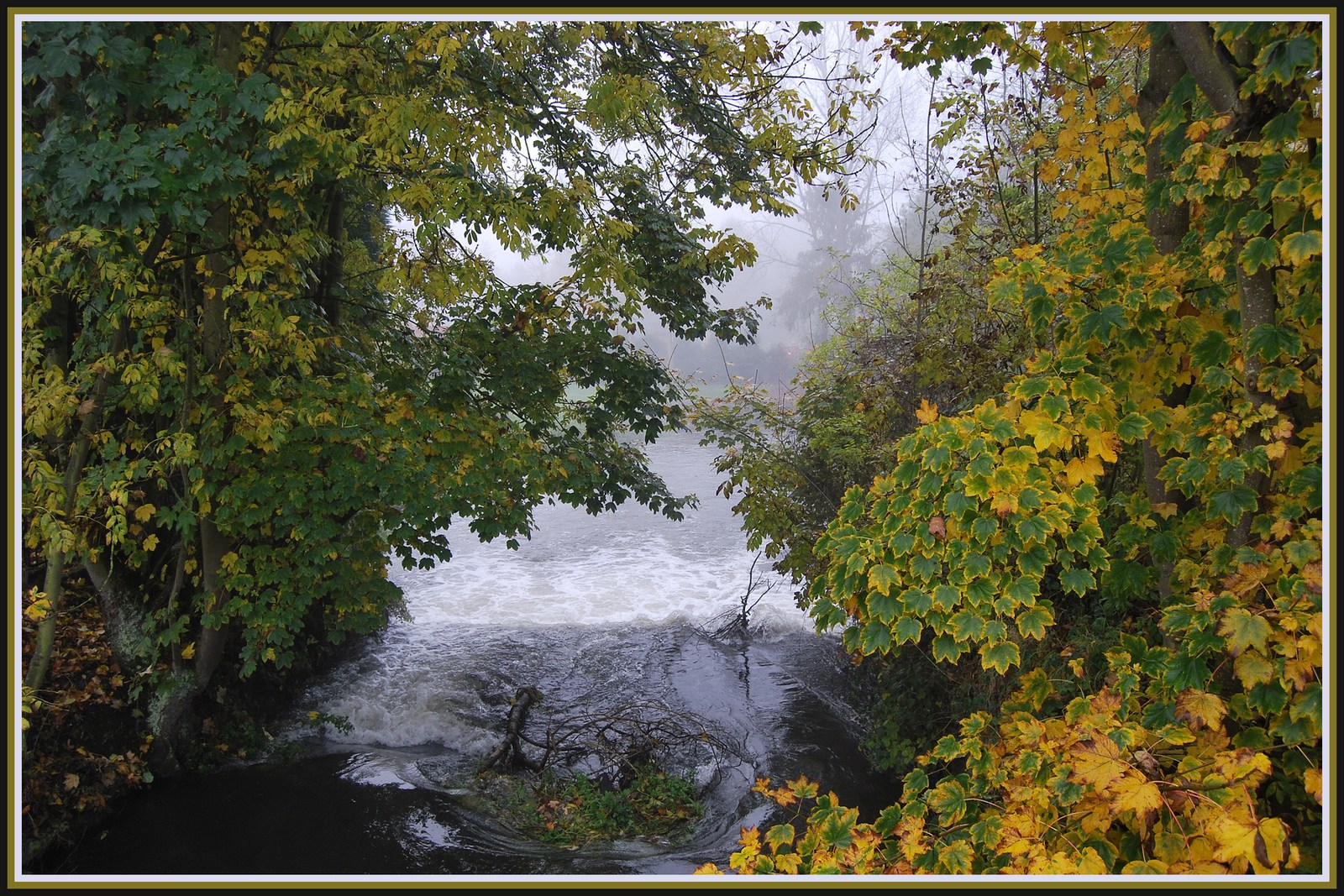 Fonds d'cran Nature Saisons - Automne Brumes d'automne en Picardie