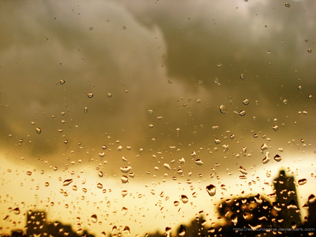 Wallpapers Nature Water Yellow Rain