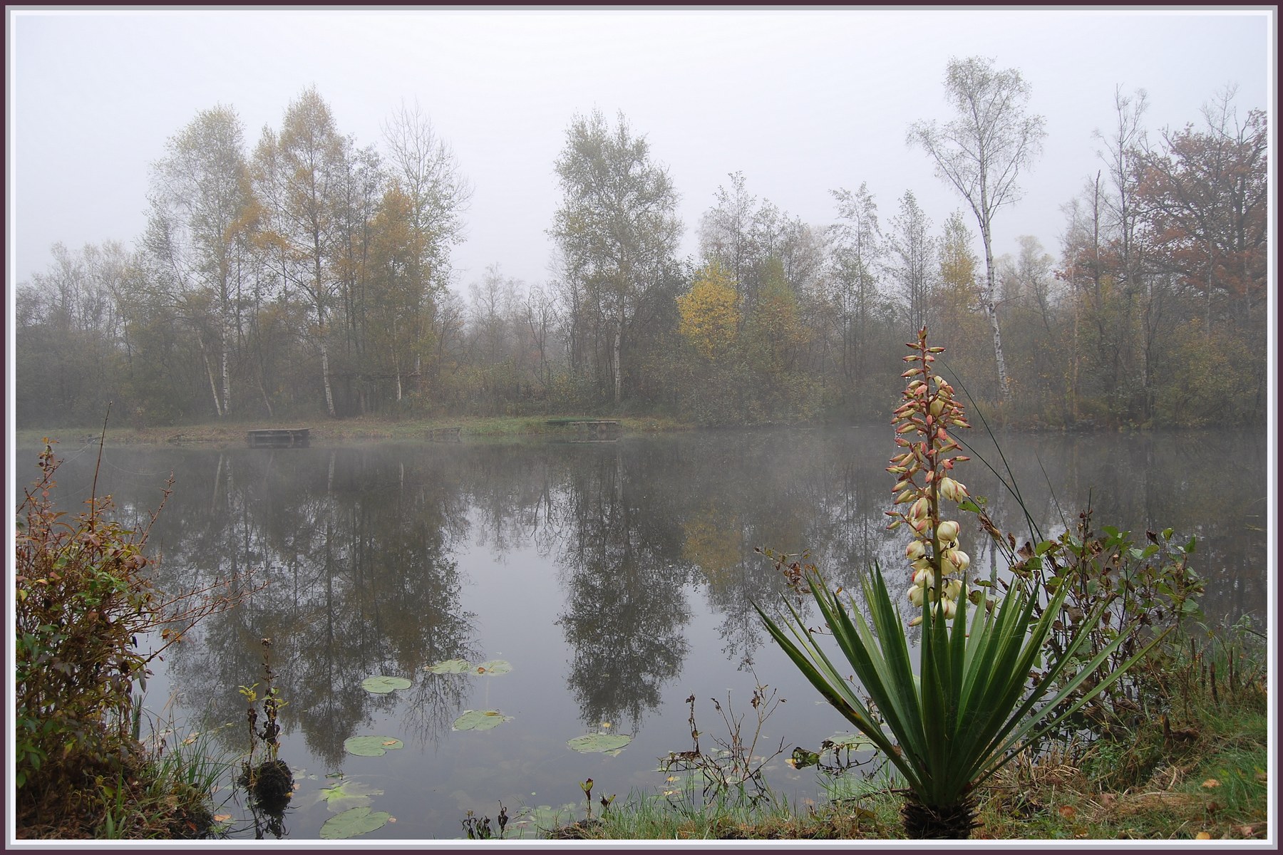 Fonds d'cran Nature Eau - Reflets Brumes sur le Miroir