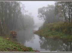 Fonds d'cran Nature Brumes en Picardie