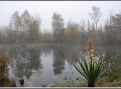 Fonds d'cran Nature Brumes sur le Miroir