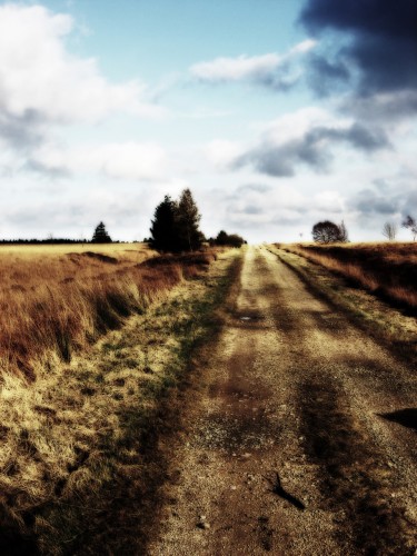 Wallpapers Nature Fields Fagnes