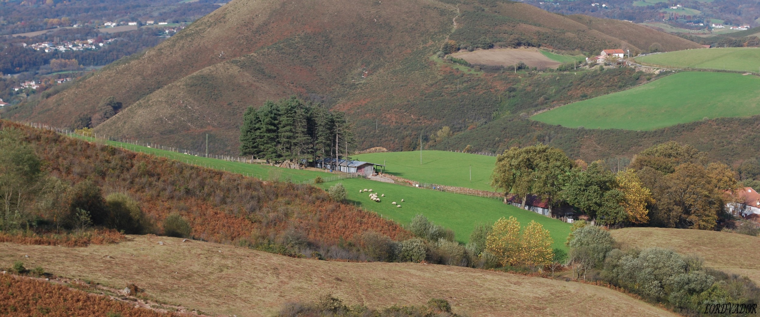 Wallpapers Nature Campaign petite ferme