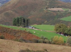 Fonds d'cran Nature petite ferme