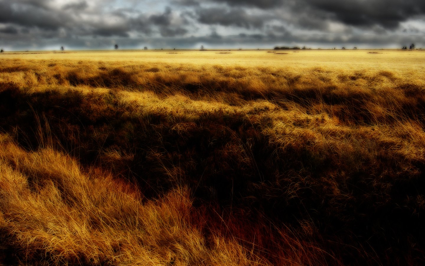 Fonds d'cran Nature Paysages Hautes Fagnes