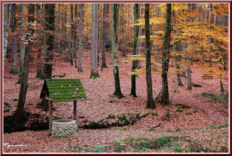 Fonds d'cran Nature Saisons - Automne Les sources de l'Hermitre dans la fort de Berc