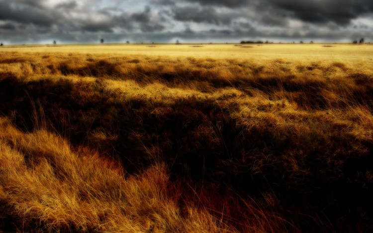 Fonds d'cran Nature Paysages Hautes Fagnes