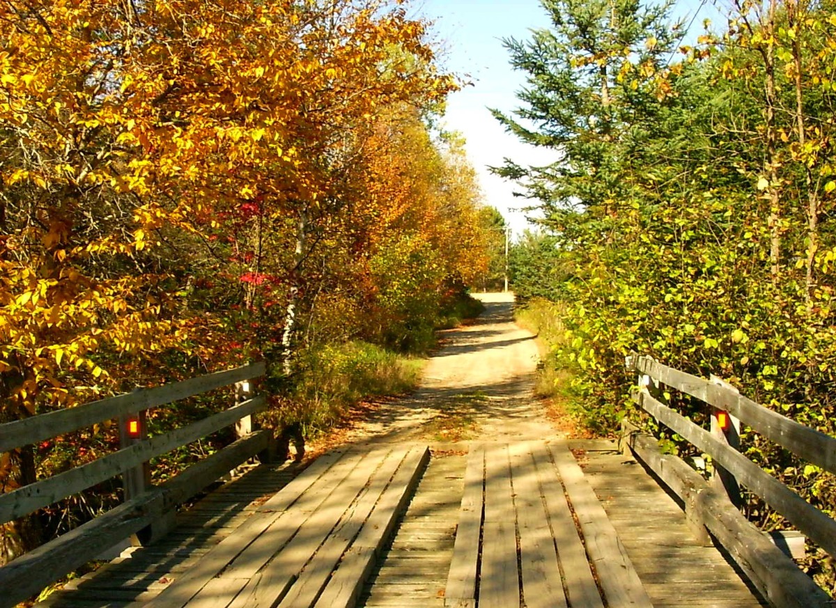 Fonds d'cran Nature Saisons - Automne Chemin de la montagne