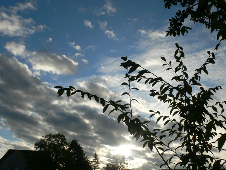 Fonds d'cran Nature Ciel - Nuages Ciel de soleil levant