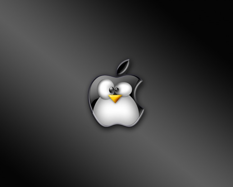 Fonds d'cran Informatique Apple Wallpaper N217702