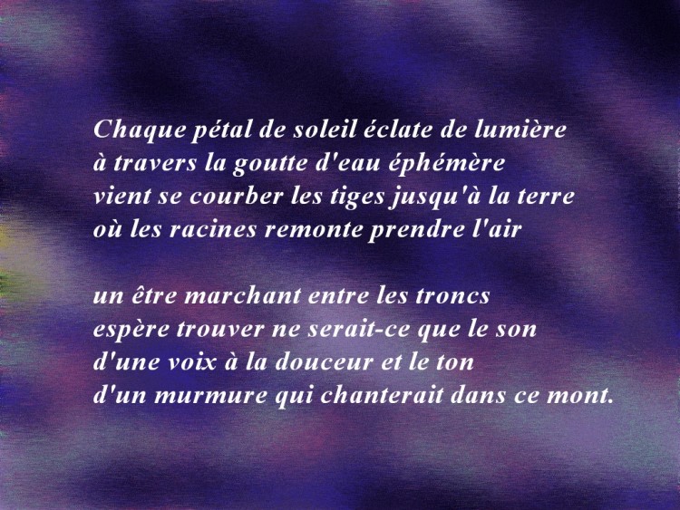 Wallpapers Digital Art Poetry - Texts une voix