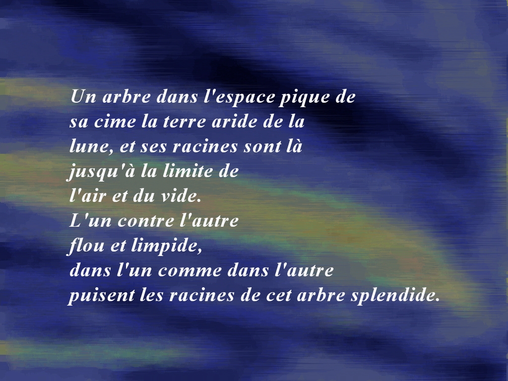 Wallpapers Digital Art Poetry - Texts un arbre