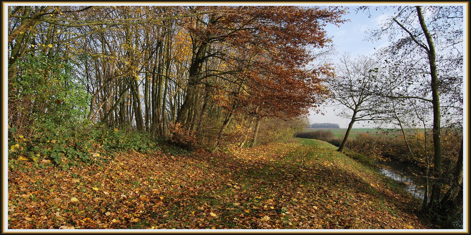 Fonds d'cran Nature Saisons - Automne Chemin d'automne