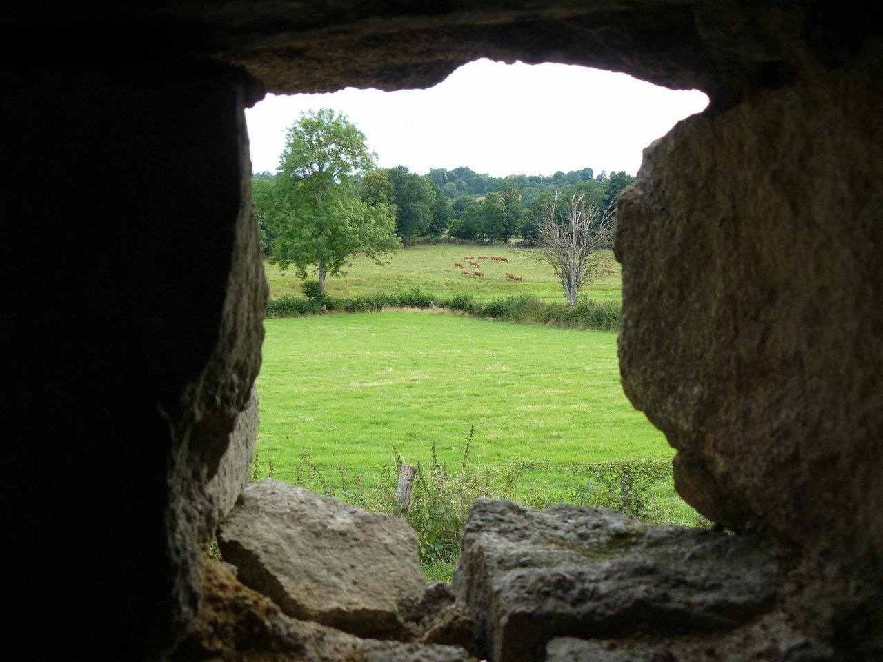 Fonds d'cran Nature Campagne Vue sur la campagne creusoise