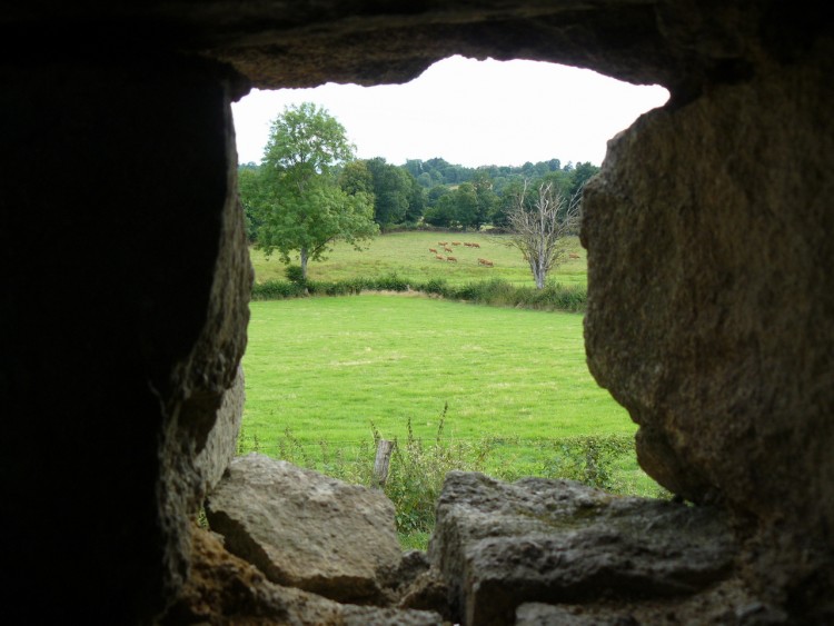 Fonds d'cran Nature Campagne Vue sur la campagne creusoise