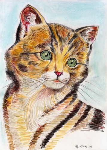 Fonds d'cran Art - Crayon Animaux - Chats Chaton