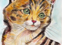 Wallpapers Art - Pencil Chaton