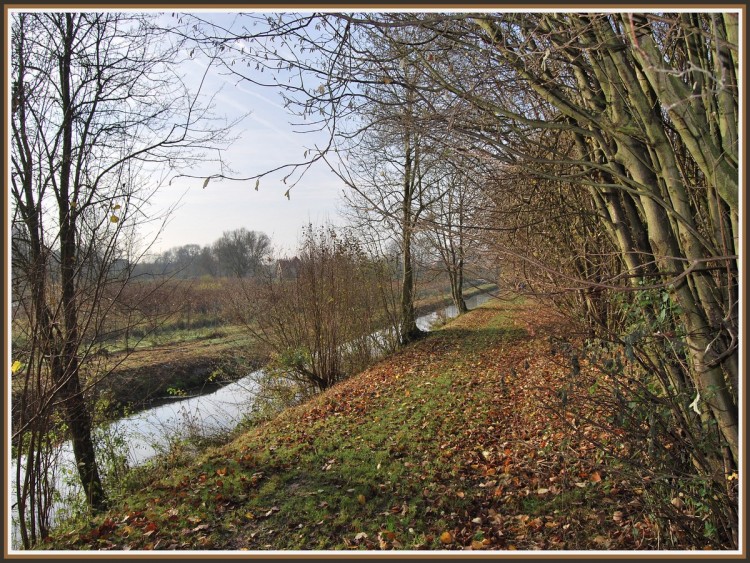 Fonds d'cran Nature Saisons - Automne Chemin d'automne