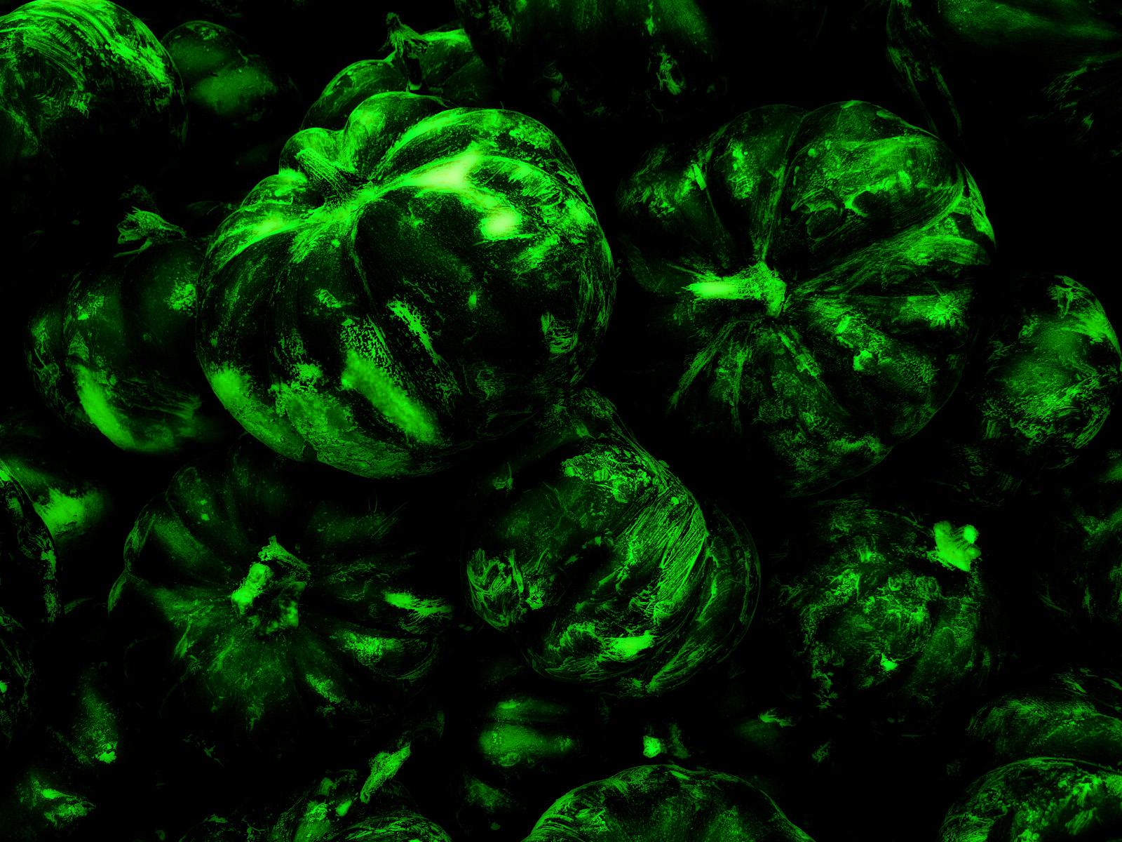 Fonds d'cran Art - Numrique Nature - Divers green pumpkins