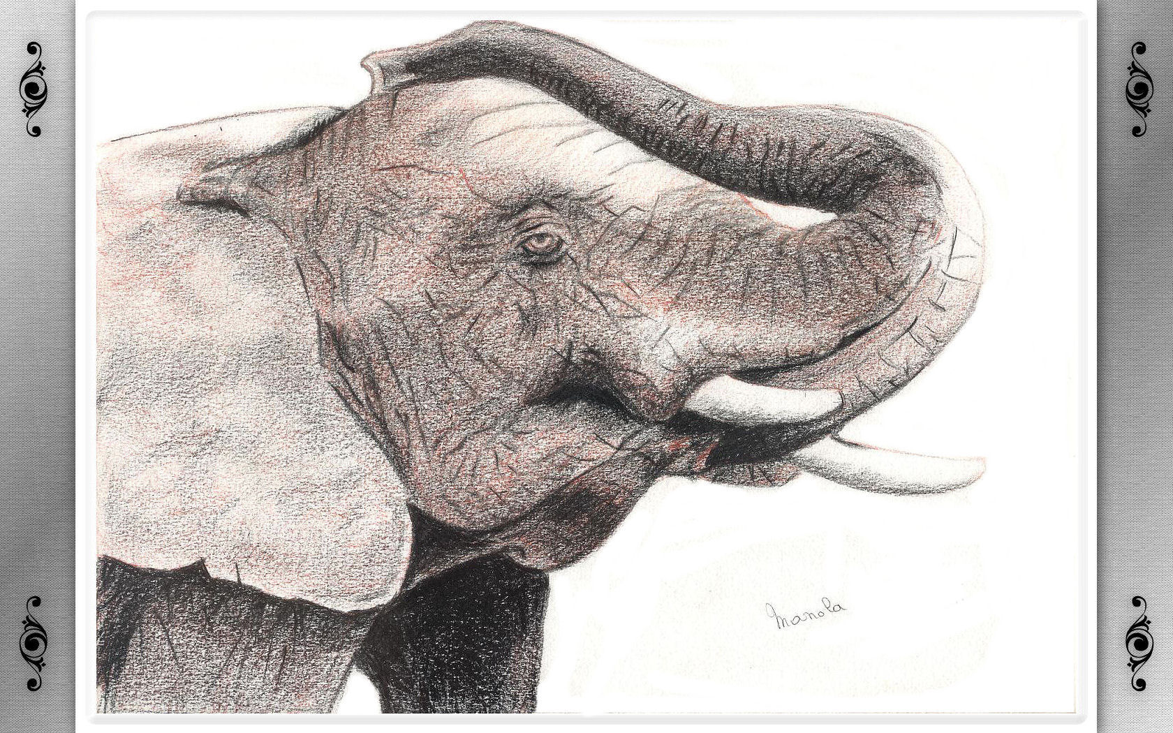 Fonds d'cran Art - Peinture Animaux Elphant