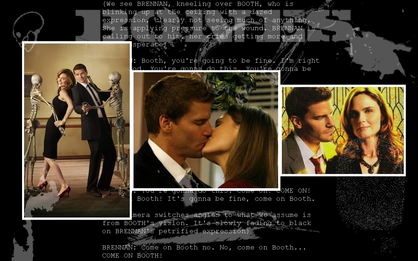 Wallpapers TV Soaps Bones Booth et Brennan