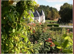 Fonds d'cran Nature Les jardins du chteau de la Chatonnire.