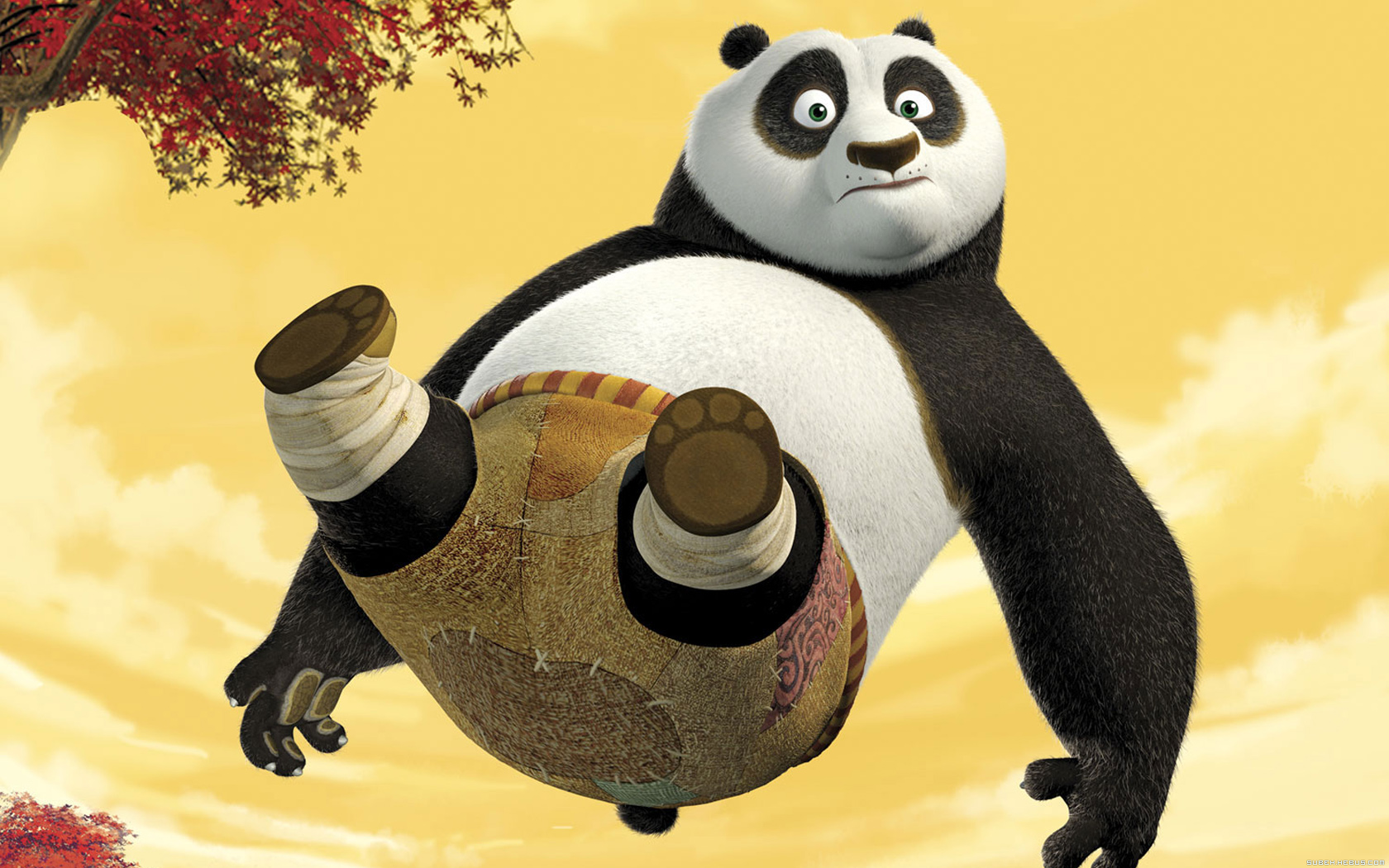 Fonds d'cran Jeux Vido Kung Fu Panda Kung Fu Panda