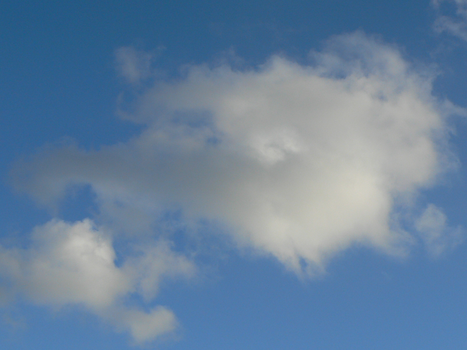 Wallpapers Nature Skies - Clouds La famille Nuage